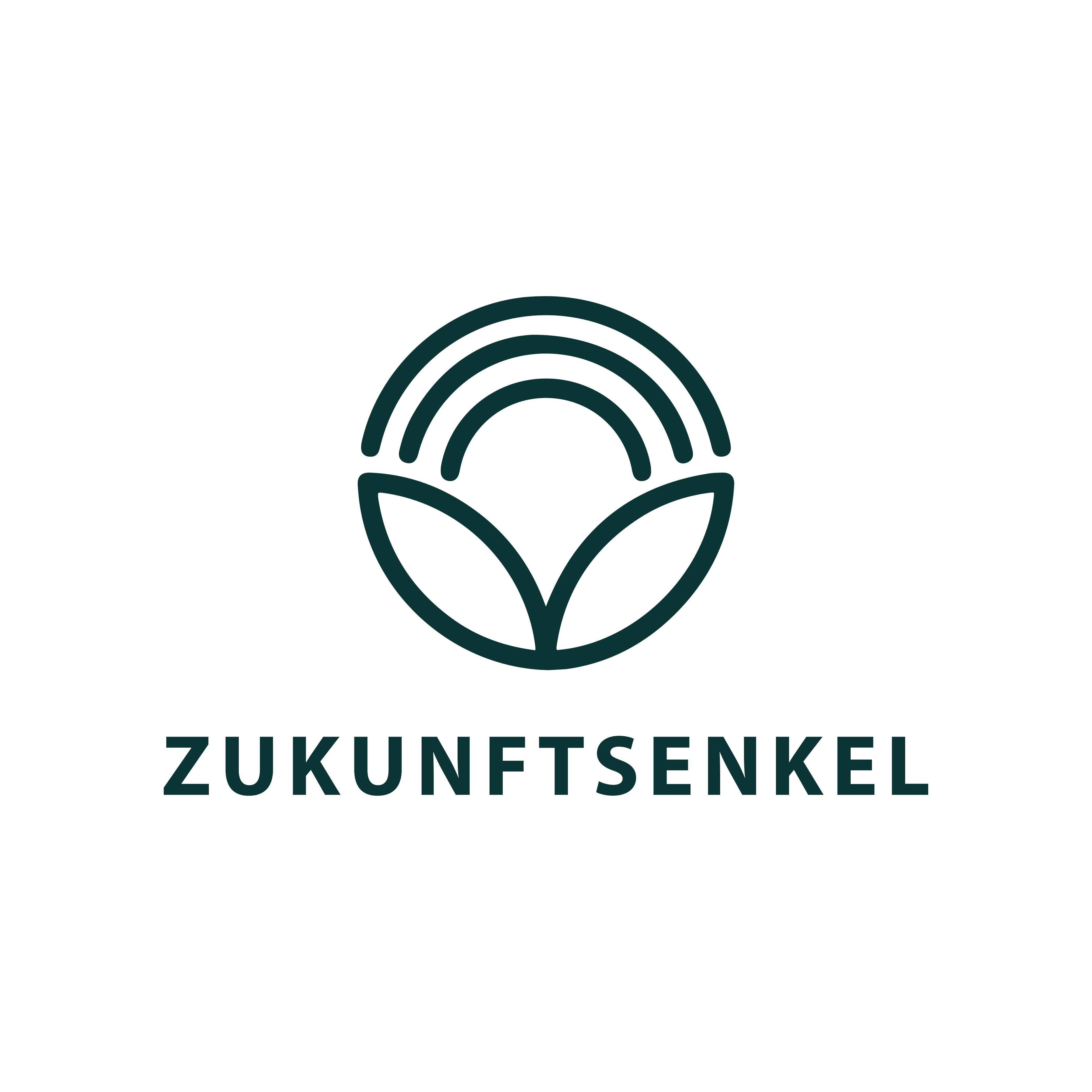 Lavettes Suédoises Zukunftsenkel - Biodégradables, Sans Plastique, 95% Cellulose + 5% Coton, Lavables, Vert - 11