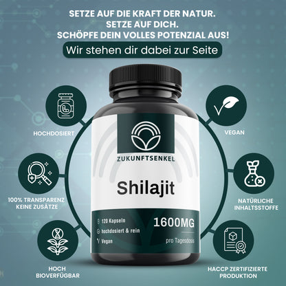 Pure Shilajit Kapseln