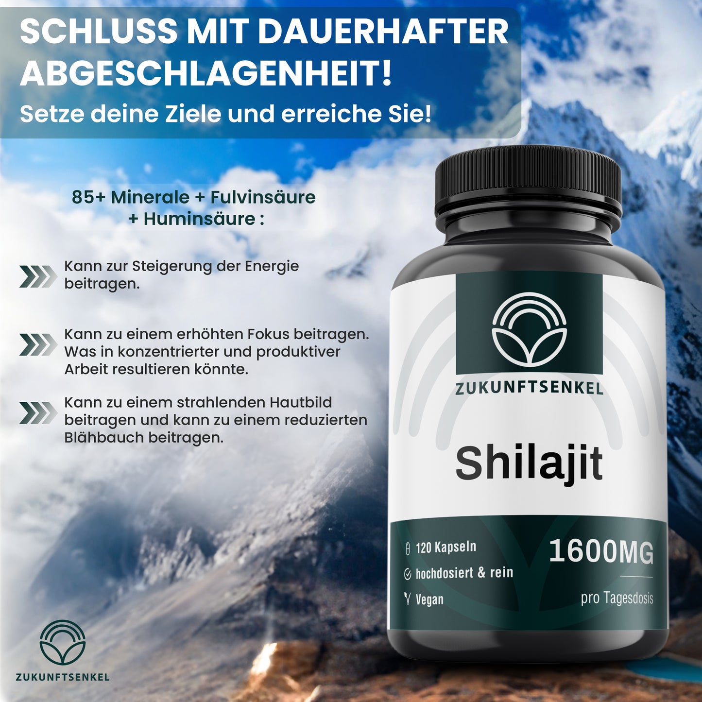 Pure Shilajit Kapseln